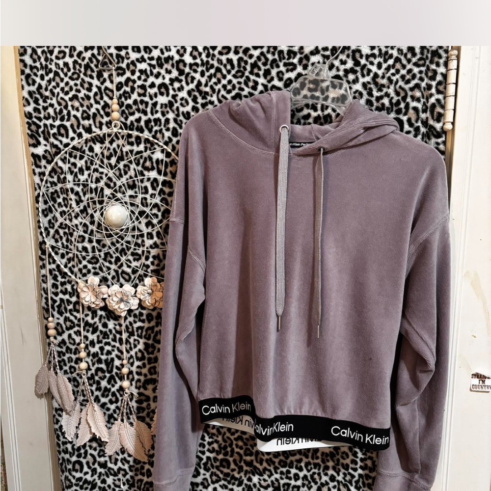 Calvin Klein Women's purple Hoodie Top